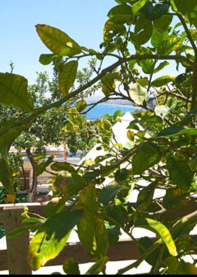 Queens Luxury Glamping Palaiokastro  Zewnętrze zdjęcie